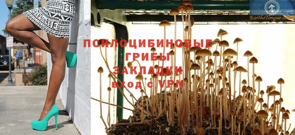 эйфоретик Балахна